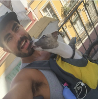 Load image into Gallery viewer, Dog Backpack
