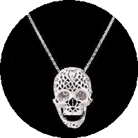 Load image into Gallery viewer, Women&#39;s Skull Pendant Necklace
