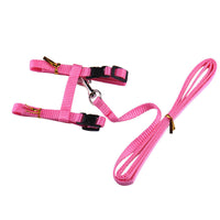 Load image into Gallery viewer, Cat Harness &amp; Leash Set
