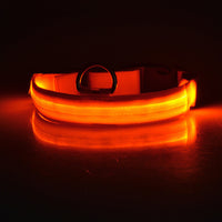 Load image into Gallery viewer, USB Rechargeable LED Dog Collar
